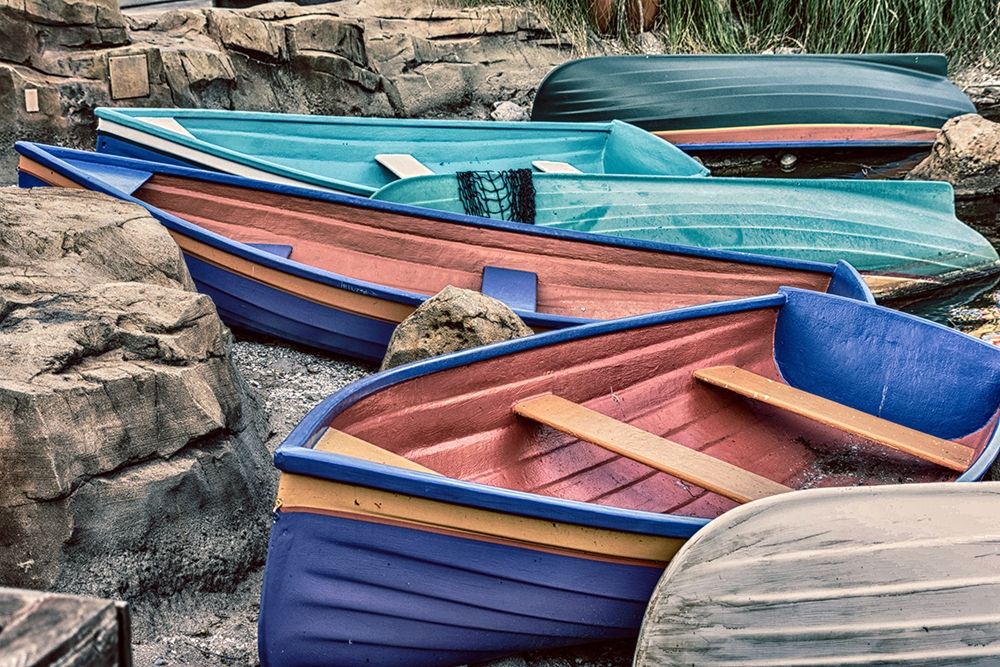 Lakeside Adventures art print by Debbie ODell for $57.95 CAD