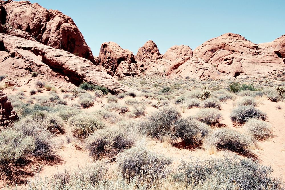 Western Views I art print by Debbie ODell for $57.95 CAD