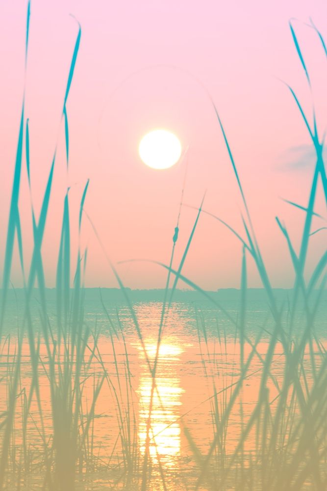 Fresh Sunset Views art print by Debbie ODell for $57.95 CAD