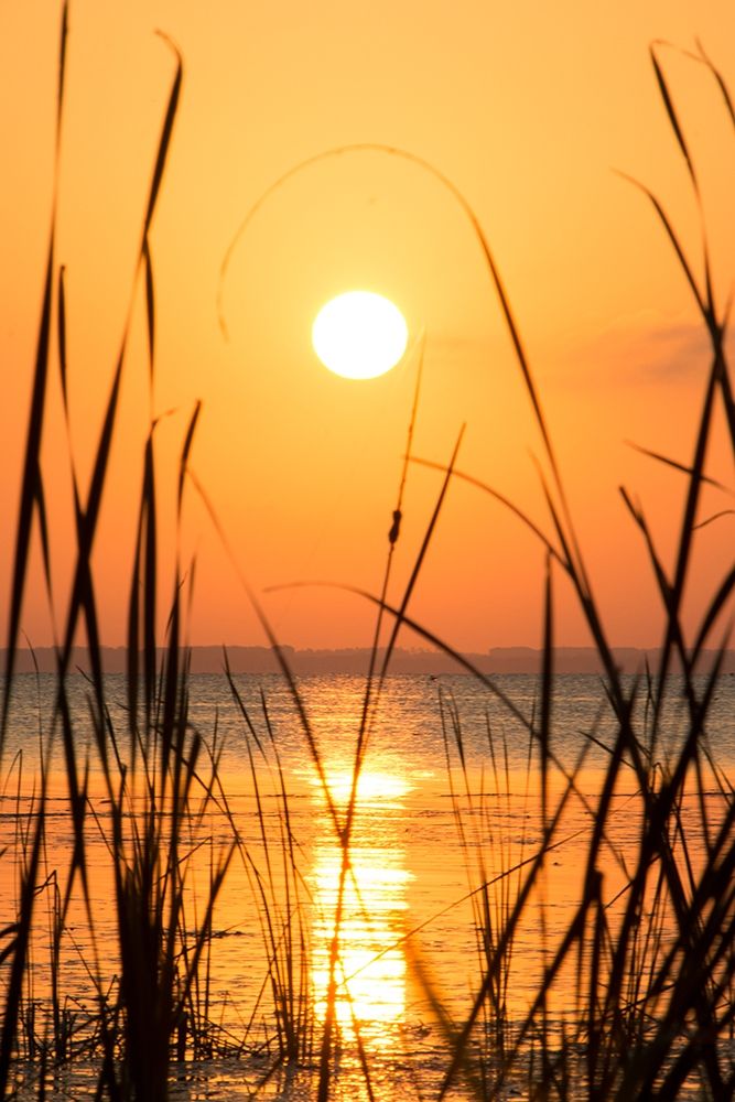 Sunset on the Lake I art print by Debbie ODell for $57.95 CAD