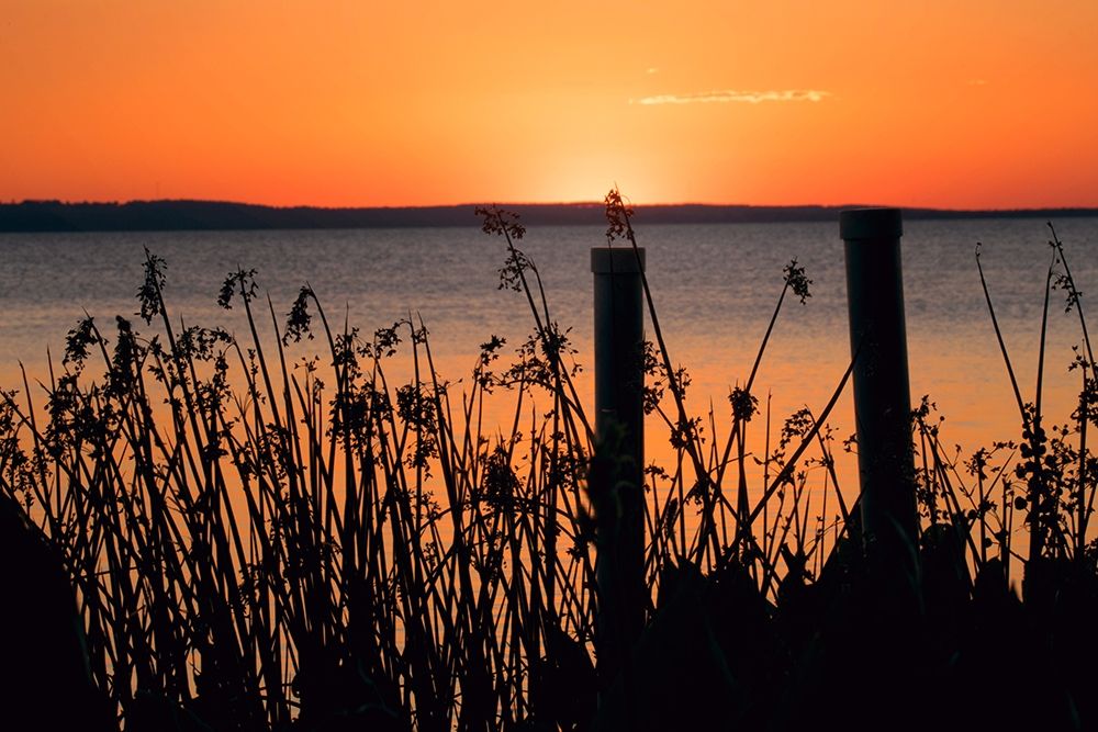 Sundown Coast art print by Debbie ODell for $57.95 CAD