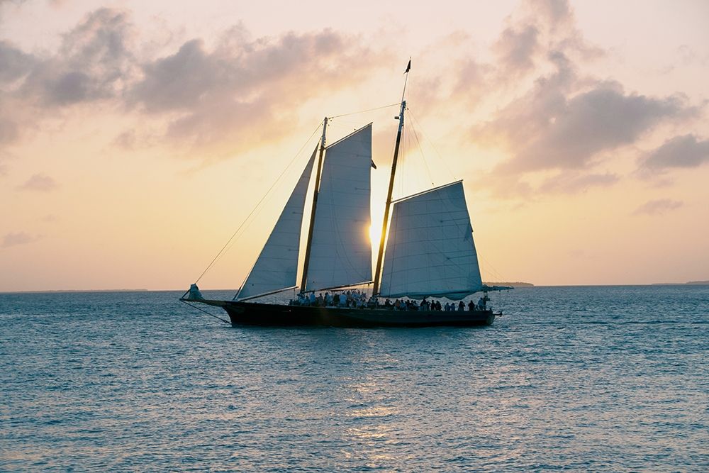 Coastal Sailing art print by Debbie ODell for $57.95 CAD