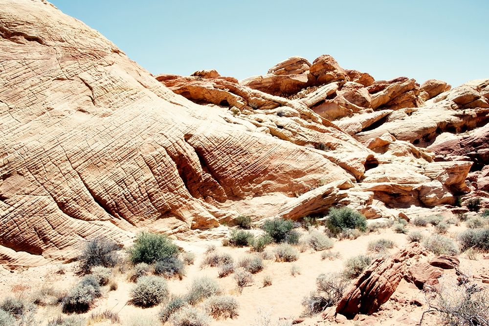 Western Views II art print by Debbie ODell for $57.95 CAD