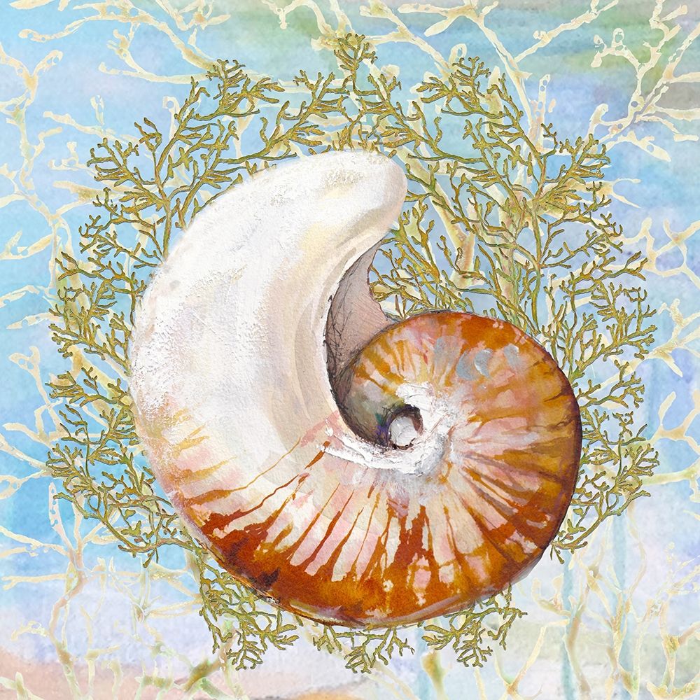 Shell Medley III art print by Diannart for $57.95 CAD