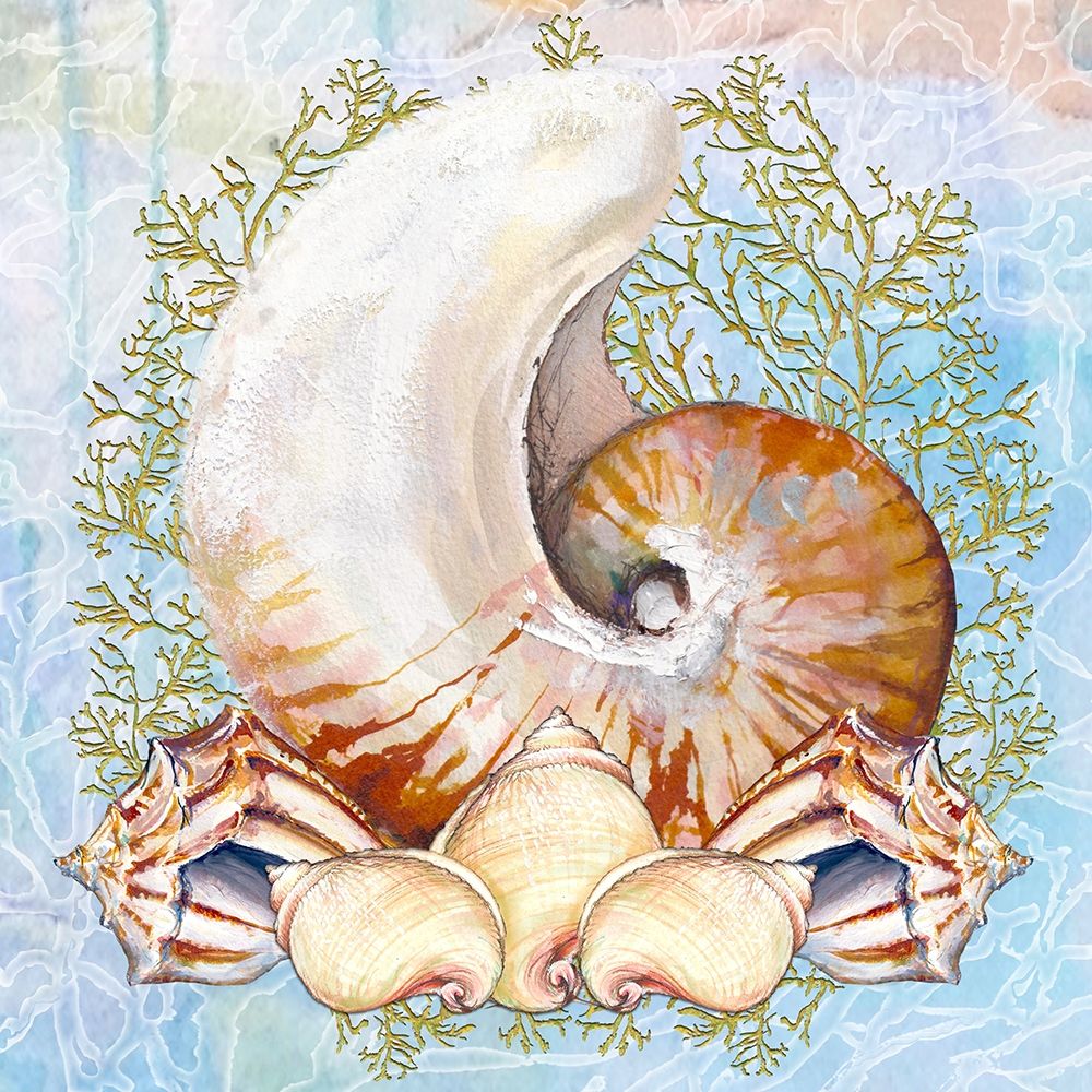 Shell Medley V art print by Diannart for $57.95 CAD