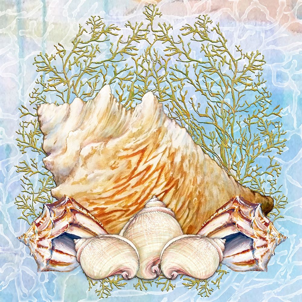 Shell Medley VI art print by Diannart for $57.95 CAD