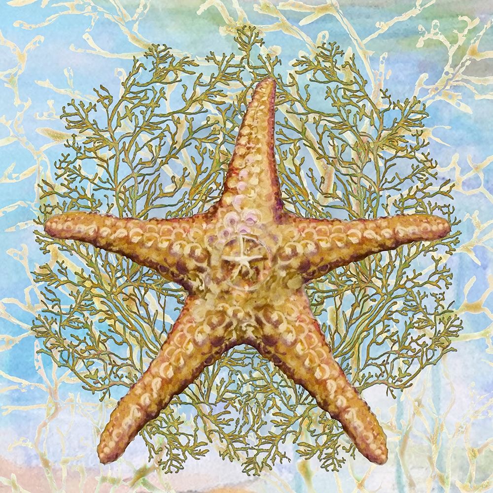 Shell Medley II art print by Diannart for $57.95 CAD
