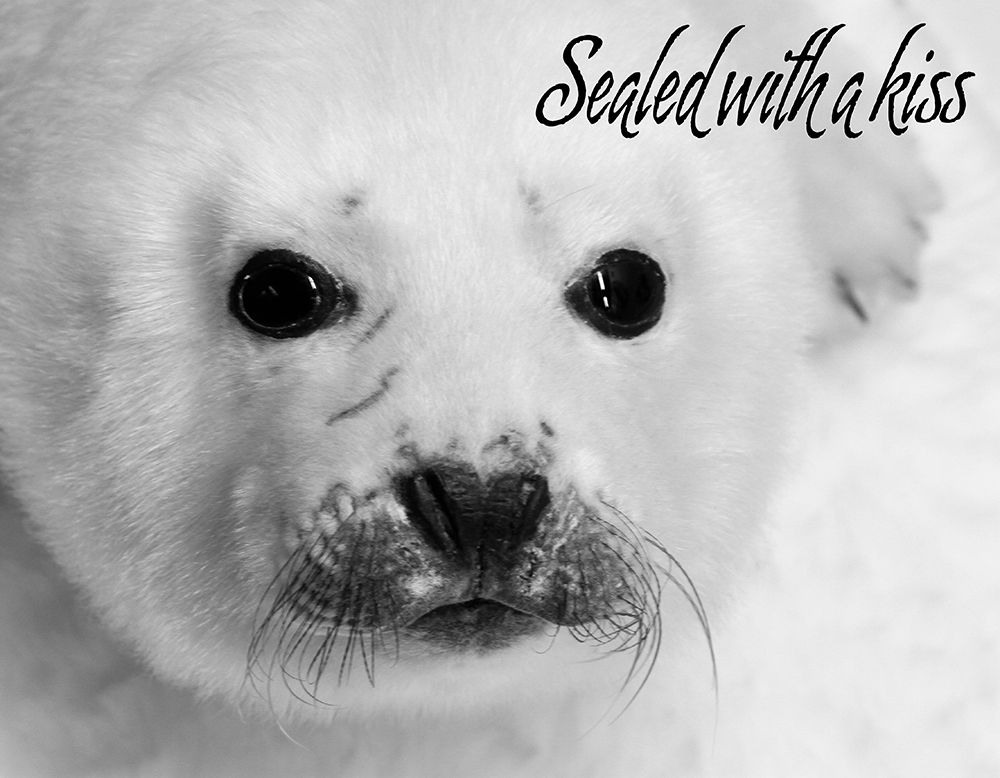 Sealed with a Kiss art print by Kathy Mansfield for $57.95 CAD