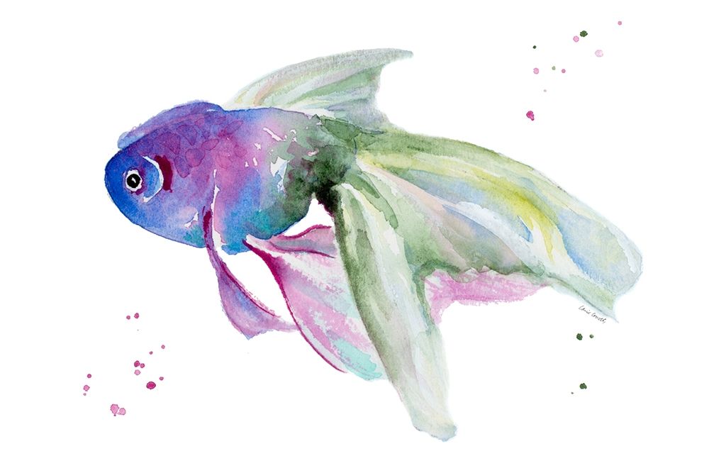 Aquarium Life III art print by Lanie Loreth for $57.95 CAD