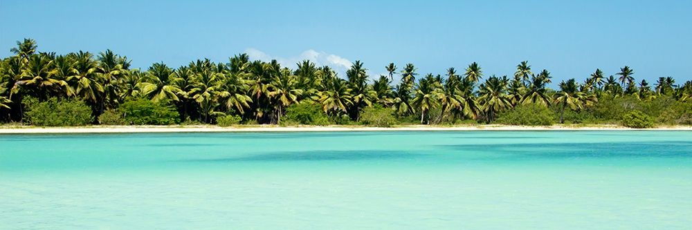 Tropical Pardise art print by Emily Navas for $57.95 CAD