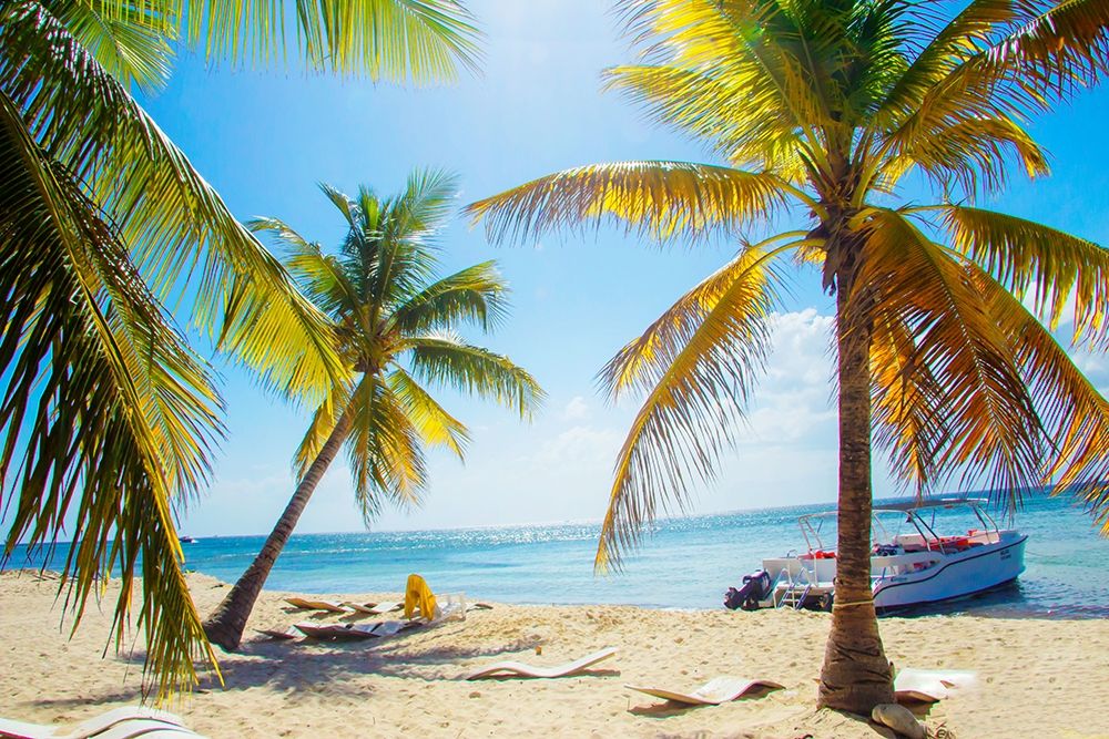 Tropical Oasis art print by Emily Navas for $57.95 CAD