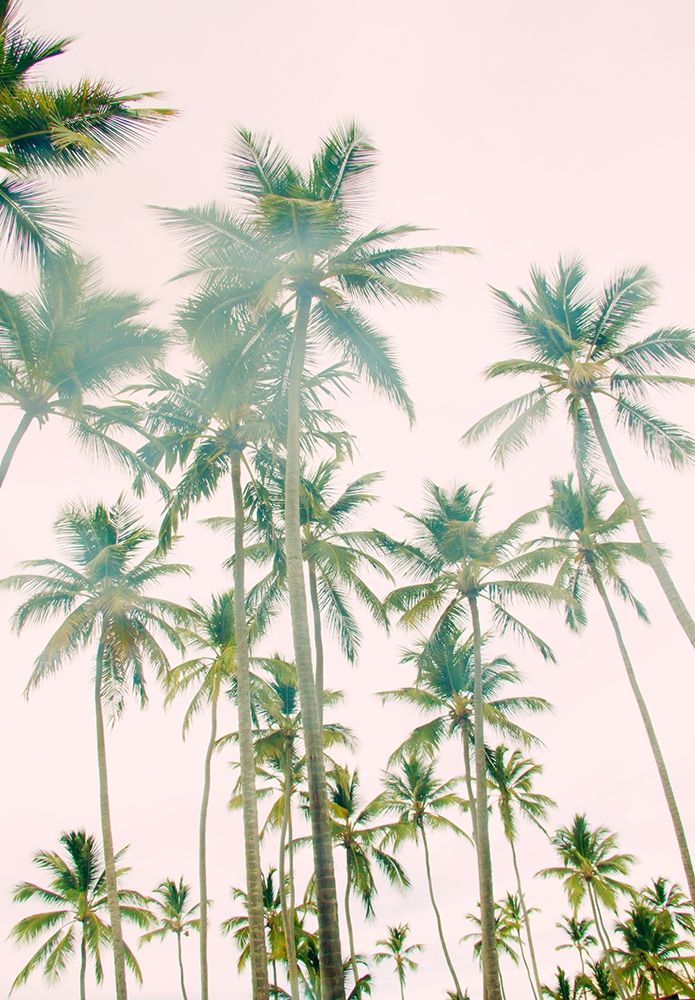 Palm Island art print by Emily Navas for $57.95 CAD