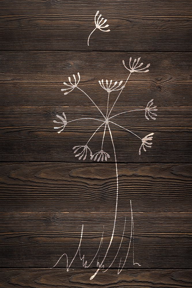 Late Blooms II art print by SD Graphics Studio for $57.95 CAD