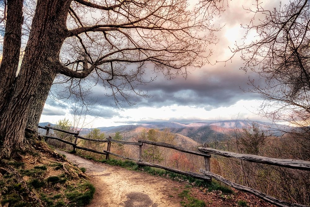 Mountain Walks art print by Andy Amos for $57.95 CAD