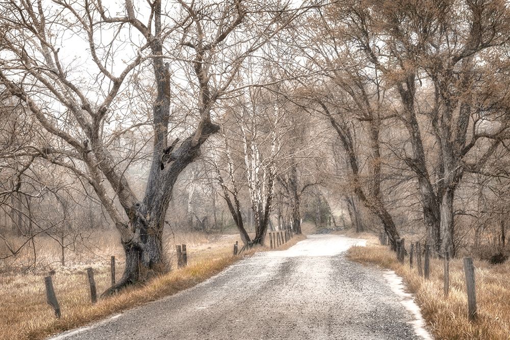 Late Afternoon Walk art print by Andy Amos for $57.95 CAD