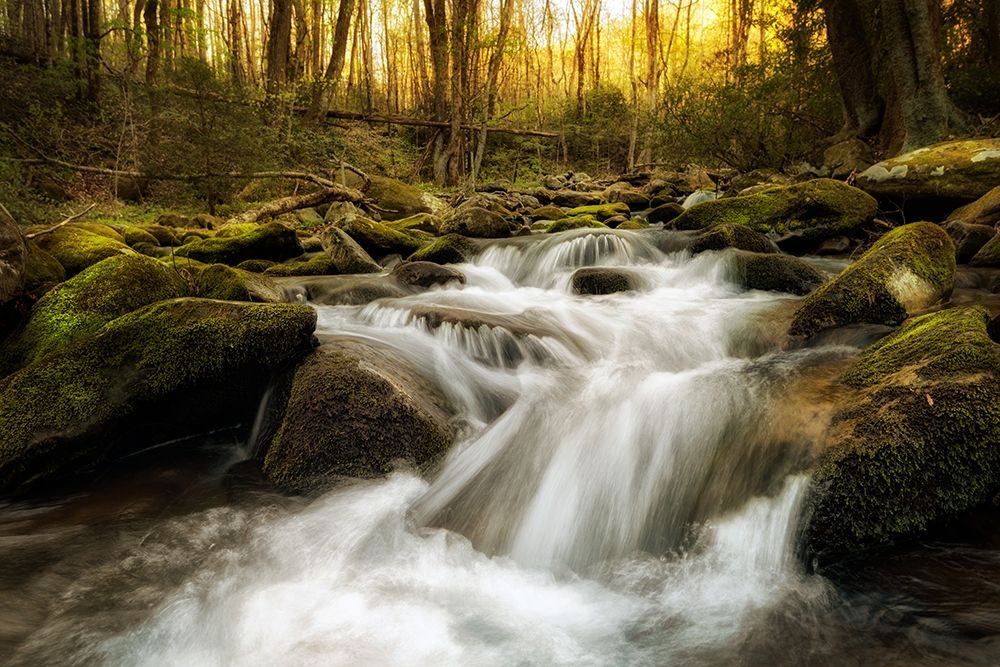 Roaring Fork art print by Andy Amos for $57.95 CAD