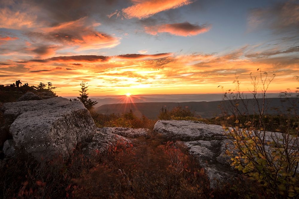 Sunrise in Fall I art print by Andy Amos for $57.95 CAD