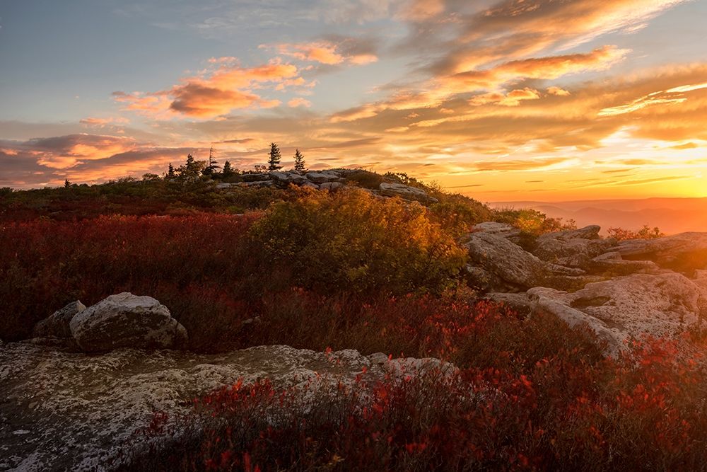 Sunrise in Fall II art print by Andy Amos for $57.95 CAD