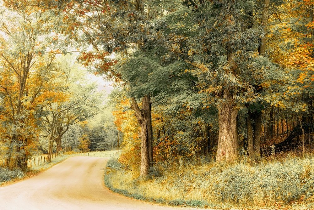 Crisp Season art print by Andy Amos for $57.95 CAD