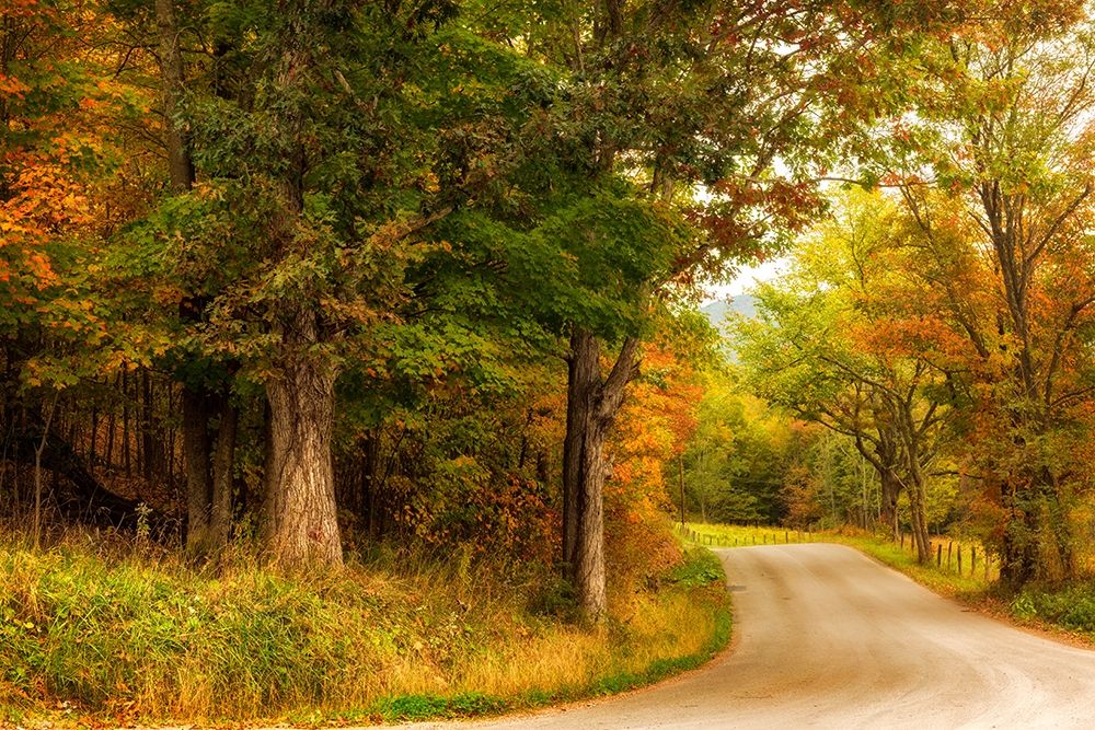 Autumns First Day art print by Andy Amos for $57.95 CAD