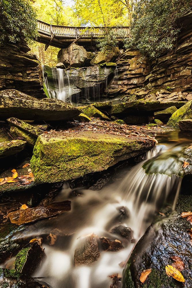 Under the Bridge I art print by Andy Amos for $57.95 CAD