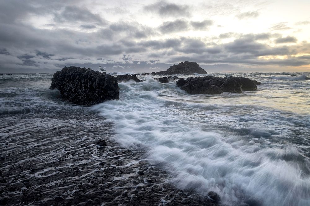 High Tide art print by Andy Amos for $57.95 CAD