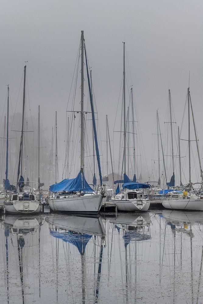 Sailing Boats art print by Andy Amos for $57.95 CAD