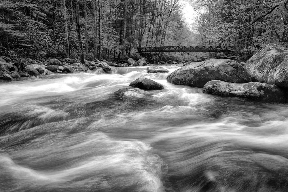 Flow Of The Creek art print by Andy Amos for $57.95 CAD