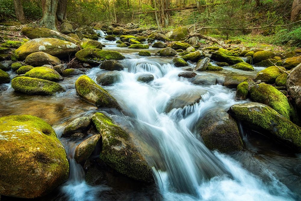 Moss Rocks art print by Andy Amos for $57.95 CAD