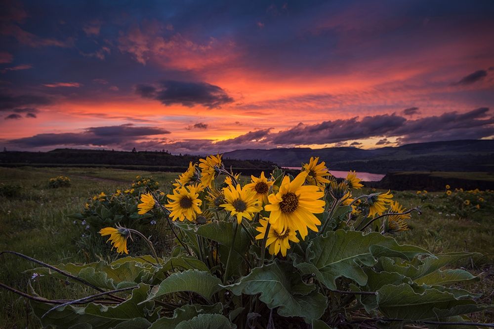 Sunset at the Gorge art print by Andy Amos for $57.95 CAD