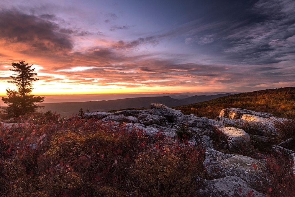 Sunrise in Fall III art print by Andy Amos for $57.95 CAD