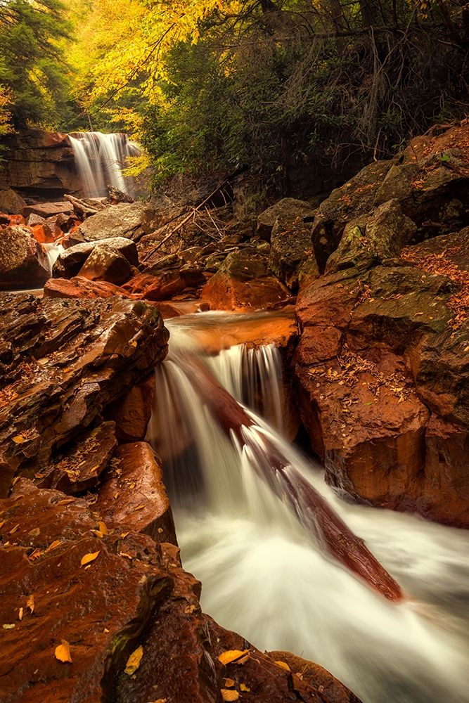 Natures Path art print by Andy Amos for $57.95 CAD