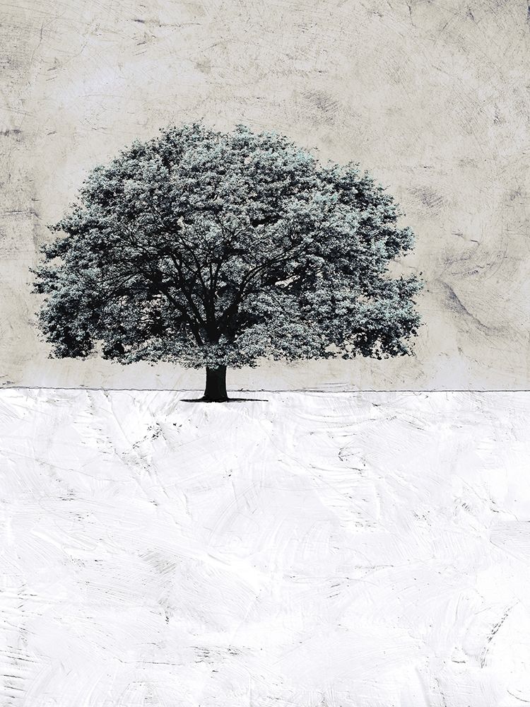 Old Black Tree art print by Ynon Mabat for $57.95 CAD