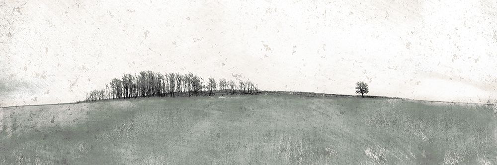 Muted Distant Trees art print by Ynon Mabat for $57.95 CAD