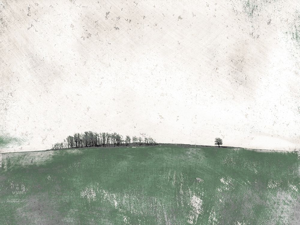 Distant Trees art print by Ynon Mabat for $57.95 CAD