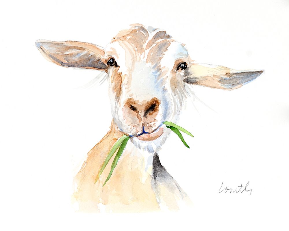 Goat III art print by Lanie Loreth for $57.95 CAD