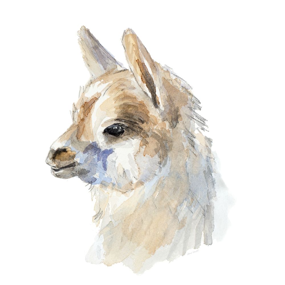 Side Portrait Llama art print by Lanie Loreth for $57.95 CAD