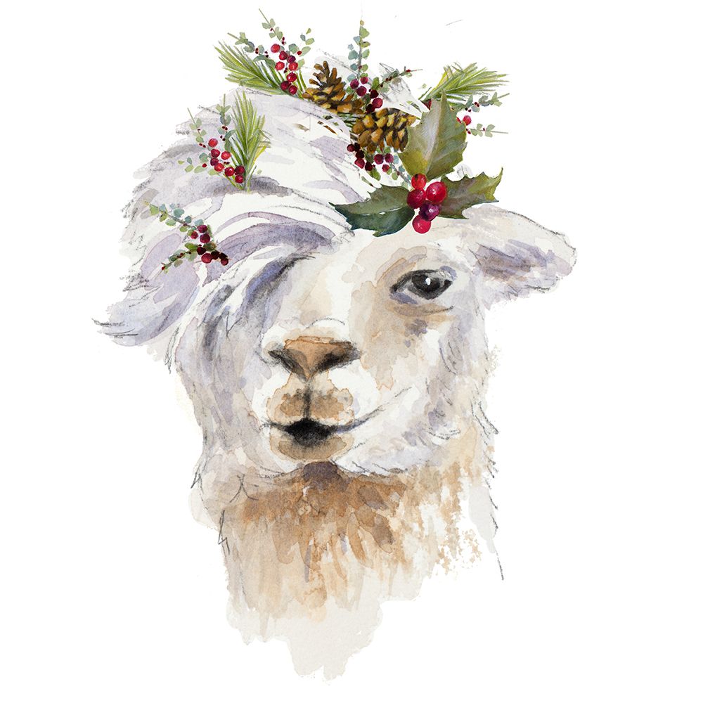 Decked Out Llama II art print by Lanie Loreth for $57.95 CAD