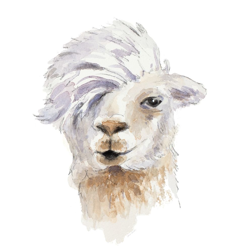 Comb Over Llama art print by Lanie Loreth for $57.95 CAD