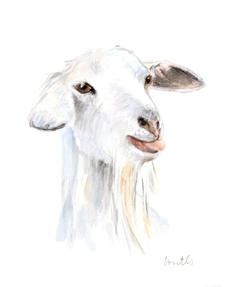 Goat I art print by Lanie Loreth for $57.95 CAD