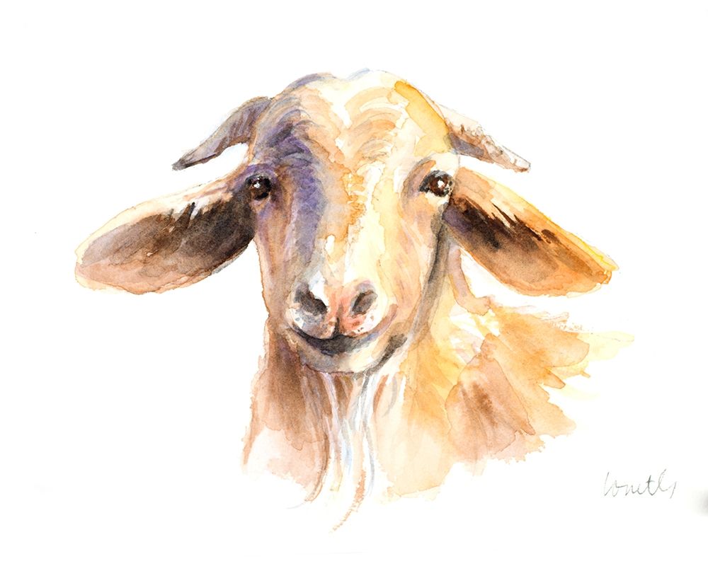 Morning Goat art print by Lanie Loreth for $57.95 CAD