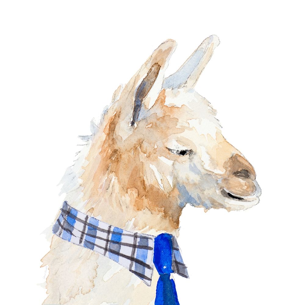 Formal Llama art print by Lanie Loreth for $57.95 CAD