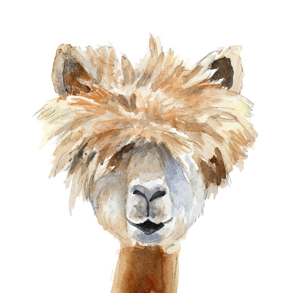 Llama with Bangs art print by Lanie Loreth for $57.95 CAD