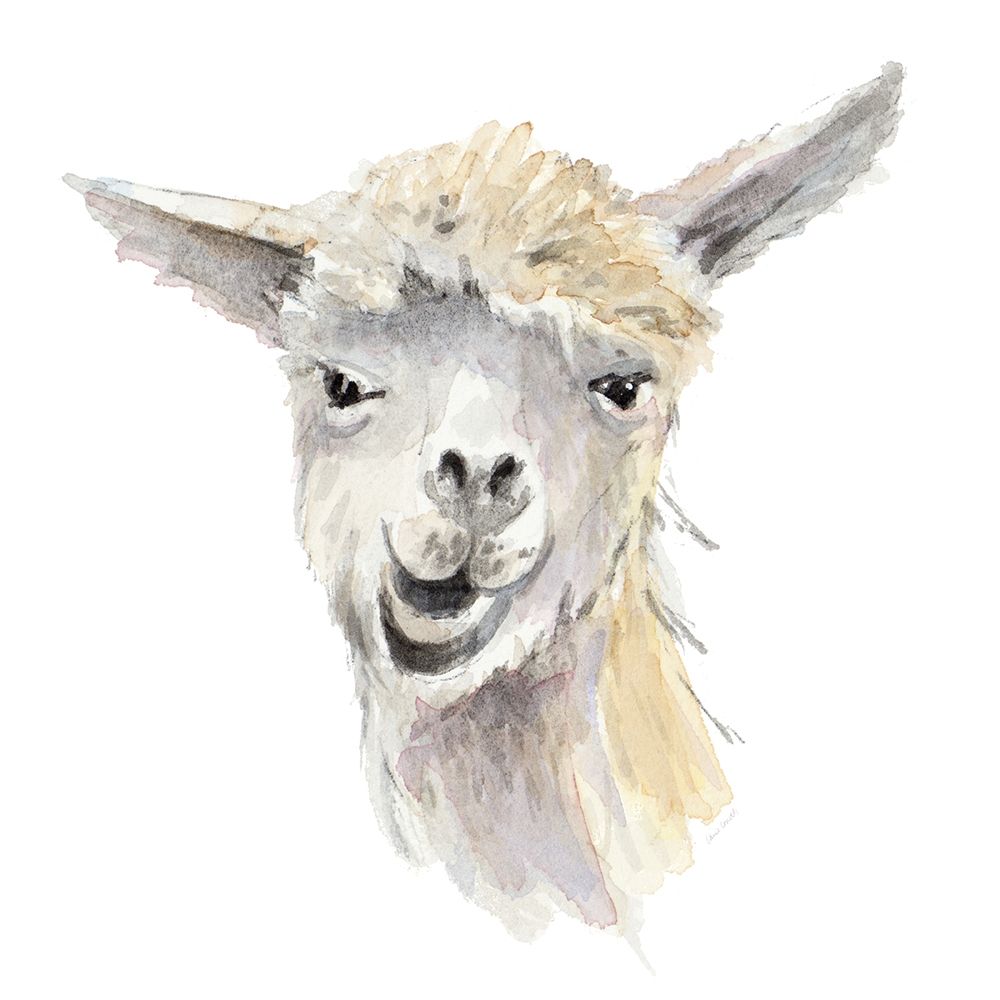 Talking Llama art print by Lanie Loreth for $57.95 CAD