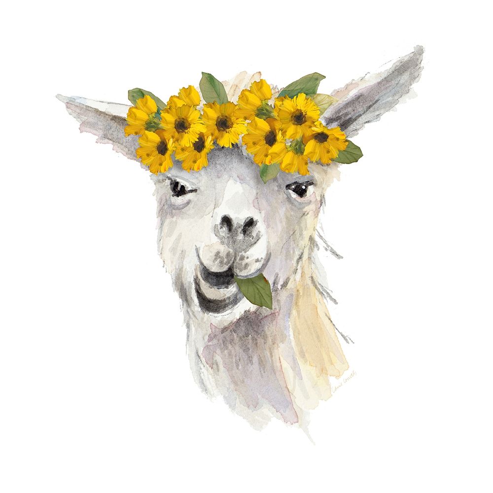 Floral Llama I art print by Lanie Loreth for $57.95 CAD