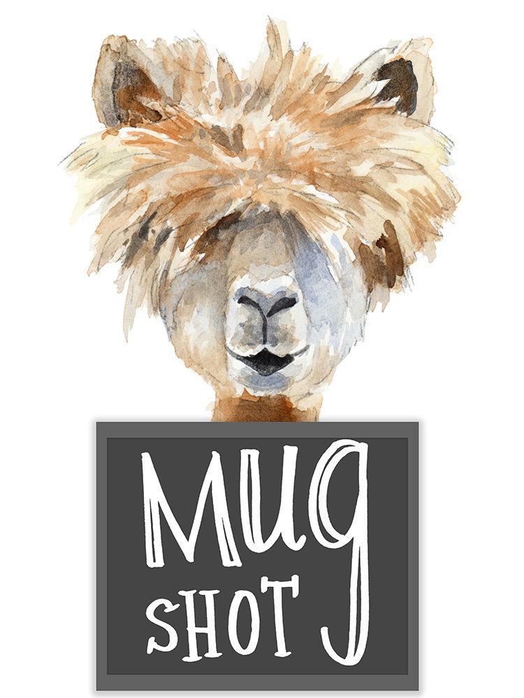 Llama Mug Shot art print by Lanie Loreth for $57.95 CAD