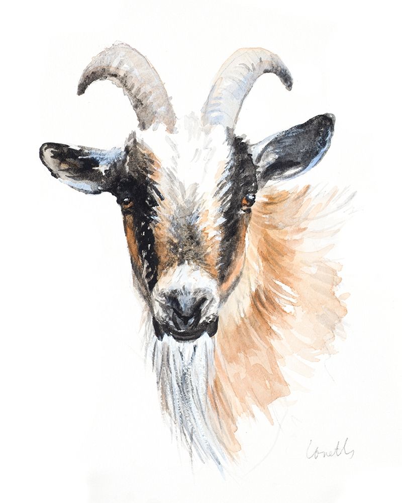 Goat II art print by Lanie Loreth for $57.95 CAD