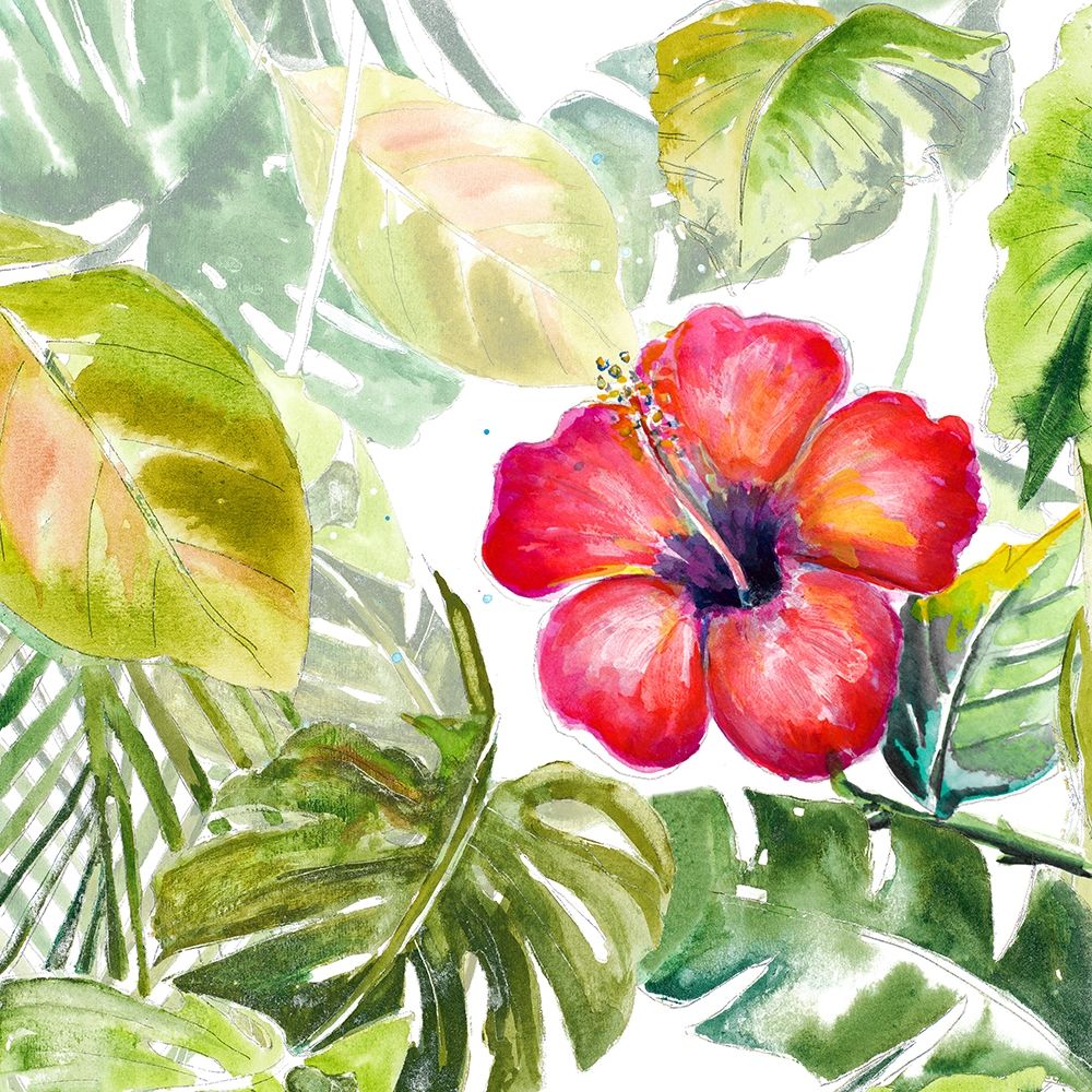 Hibiscus on Selva art print by Patricia Pinto for $57.95 CAD