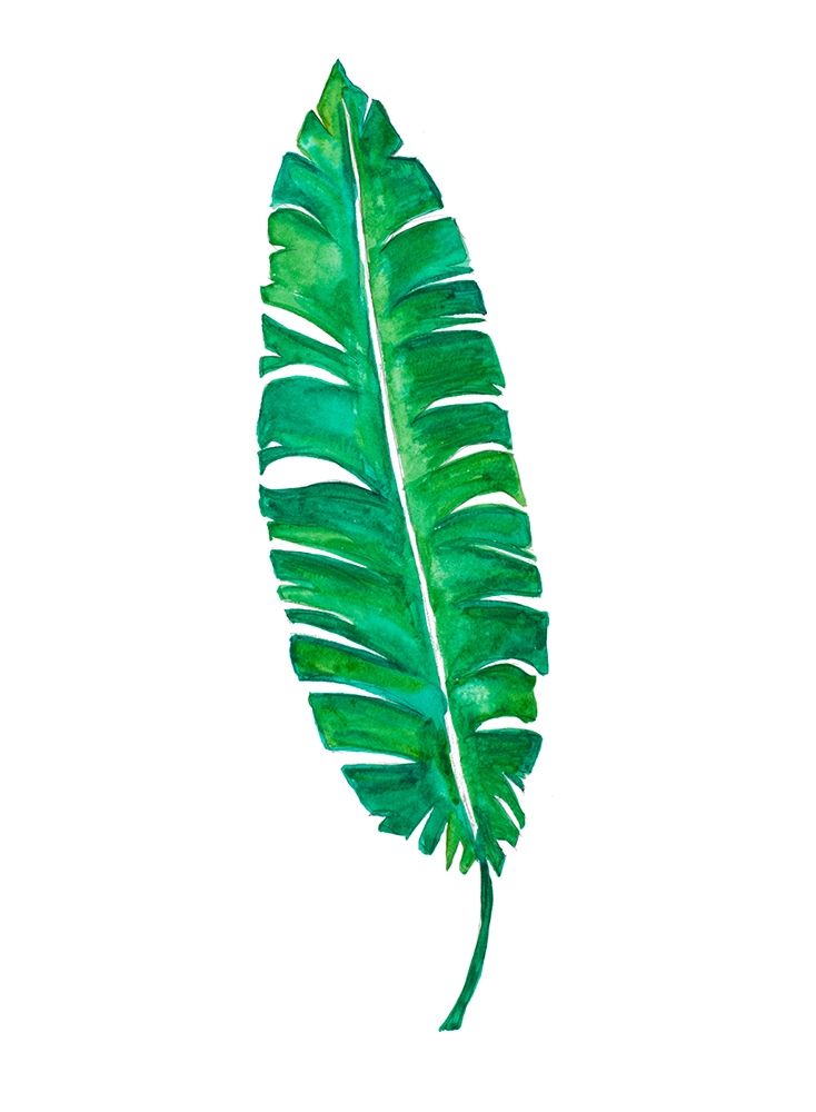 Garden Leaf II art print by B. Danelle for $57.95 CAD
