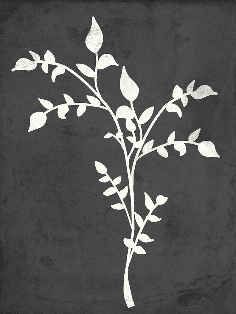 Fern Silhouette I art print by Anna Quach for $57.95 CAD